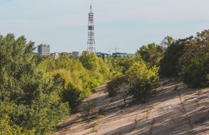 Doğanın Sunduğu Terapi: Doğa Sesleri ile Ruhunuzu Dinlendirin doganin sundugu terapi doga sesleri ile ruhunuzu dinlendirin