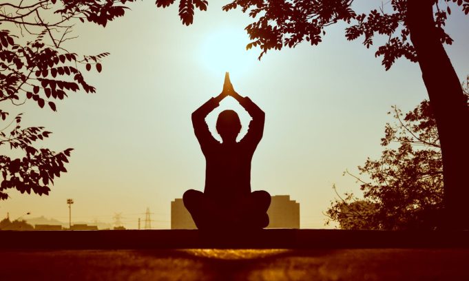 Organik Tarım, Sürdürülebilir Yaşam, Meditasyon İnzivası ve Ekolojik Çiftlik Konaklaması Hakkında Genel Bilgiler farmchusaq3