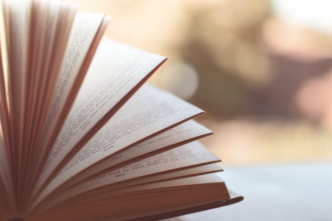 B1 Almanca Konuşma Kulübü, A1 Almanca Konuşma Kulübü ve C1 Almanca Özel Ders: Dil Öğrenmenin Farklı Yolları welt2